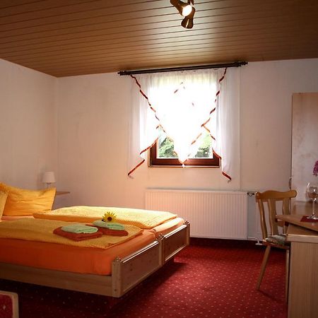 Pension Waldschanke Geyer Extérieur photo